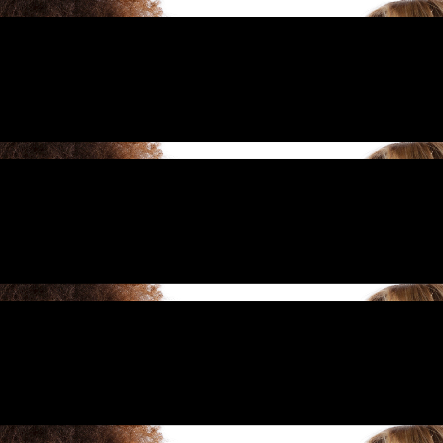 0302_(2).png